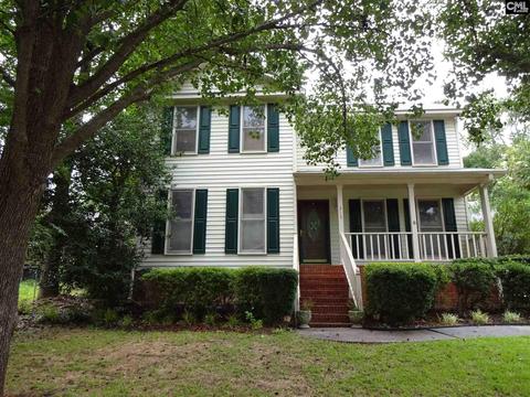 313 Mapleview Dr, Columbia, SC 29212 photo 1