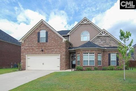 211 Cayden Ct, Chapin, SC 29036 photo 1