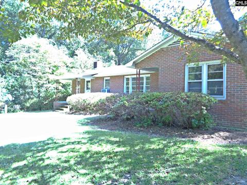 236 Peachland Dr, Gilbert, SC 29054 photo 1