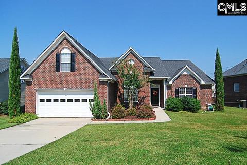 745 Millplace Loop, Irmo, SC 29063 photo 1