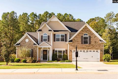 313 Eagle Claw Dr, Chapin, SC 29036 photo 1