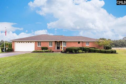 108 Cirrus Way, Gilbert, SC 29054 photo 1