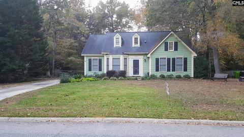228 E Dean Rd, Irmo, SC 29063 photo 1