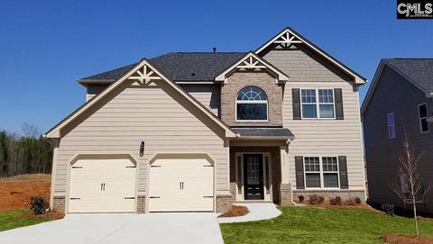 511 Pine Log Run, Chapin, SC 29036 photo 1