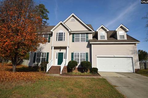 132 Wicklow Ct, Irmo, SC 29063 photo 1