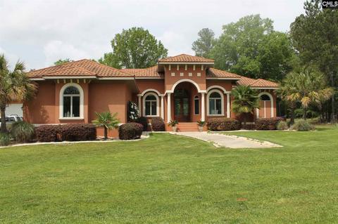 480 Sid Bickley Rd, Chapin, SC 29036 photo 1