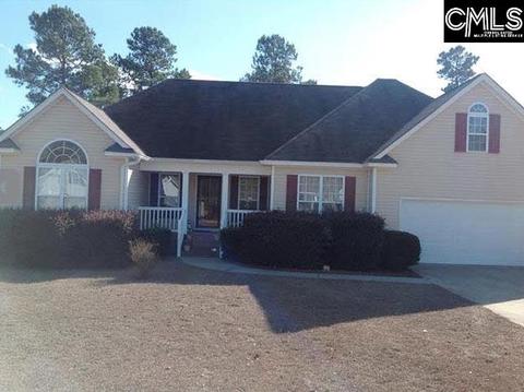 237 Calli Ln, Elgin, SC 29045 photo 1