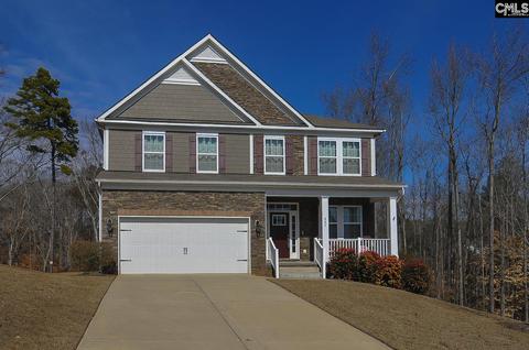 407 Eagle Claw Ct, Chapin, SC 29036 photo 1