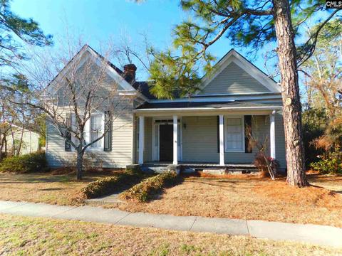 243 E Columbia Ave, Leesville, SC 29070 photo 1