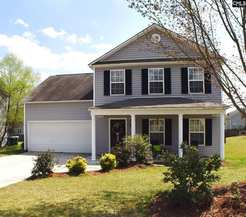 383 Eagle Pointe Dr, Chapin, SC 29036 photo 1