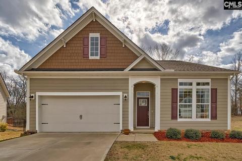 11 Downing Ct, Gilbert, SC 29054 photo 1