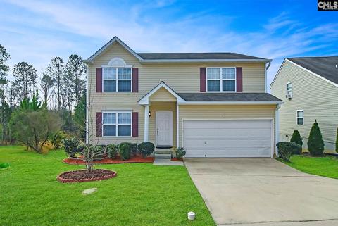 224 Wander Ct, Lexington, SC 29072 photo 1