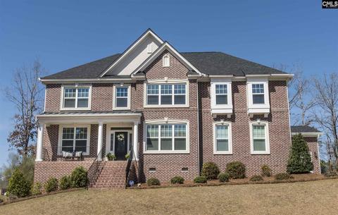 532 Fairwind Dr, Chapin, SC 29036 photo 1
