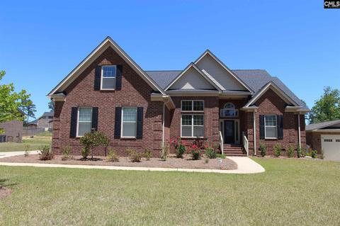 123 Renard Way, Gilbert, SC 29054 photo 1