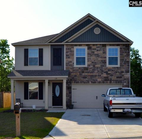 139 Ventnor Ave, Chapin, SC 29036 photo 1