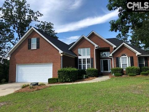 1336 Martins Camp Ln, Gilbert, SC 29054 photo 1