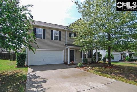 351 Eagle Pointe Dr, Chapin, SC 29036 photo 1