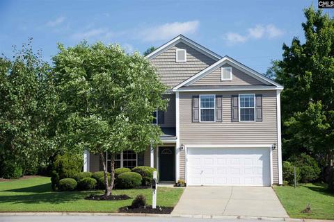 396 Eagle Pointe Dr, Chapin, SC 29036 photo 1