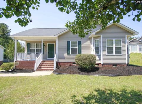 417 Beech Branch Dr, Irmo, SC 29063 photo 1