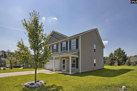 335 Eagle Pointe Dr, Chapin, SC 29036 photo 1