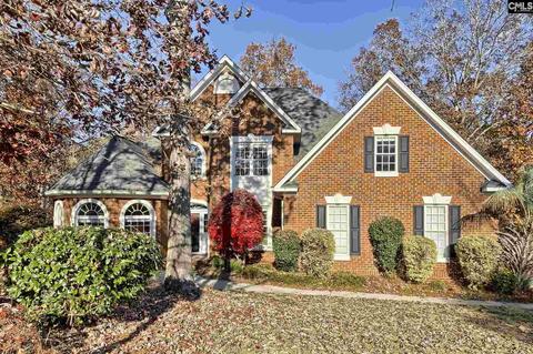 3 Maytree Ct, Irmo, SC 29063 photo 1