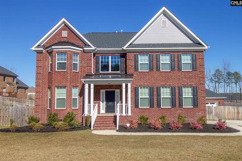 115 Renard Way, Gilbert, SC 29054 photo 1