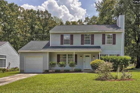 308 Woodspur Rd, Irmo, SC 29063 photo 1