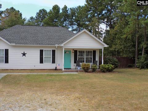 109 Brisk Pl, Gilbert, SC 29054 photo 1