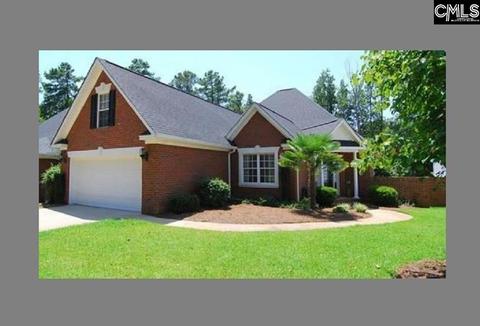224 Powell Dr, Lexington, SC 29072 photo 1