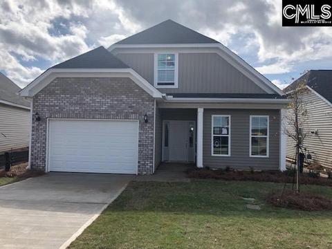25 Attucks Ct, Elgin, SC 29045 photo 1