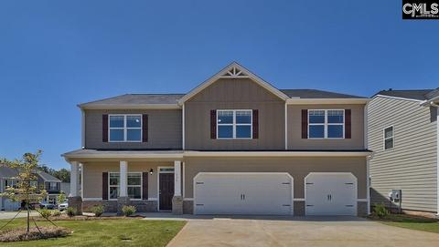 936 Trident Maple Ln, Chapin, SC 29036 photo 1