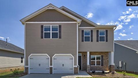 920 Trident Maple Ln, Chapin, SC 29036 photo 1