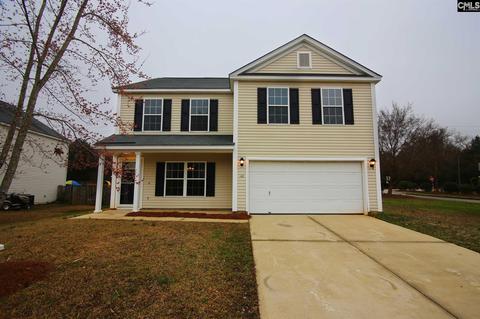 100 Eagle Pointe Dr, Chapin, SC 29036 photo 1