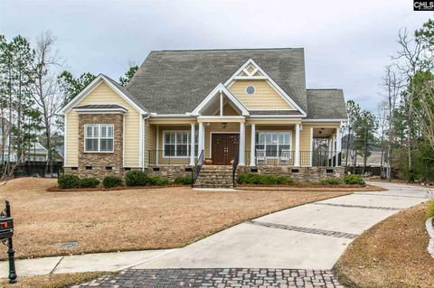 160 Blue Wing Dr, Gilbert, SC 29054 photo 1