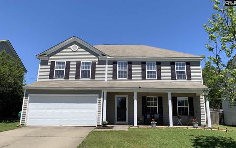 388 Eagle Pointe Dr, Chapin, SC 29036 photo 1