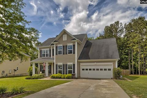311 Eagle Claw Dr, Chapin, SC 29036 photo 1