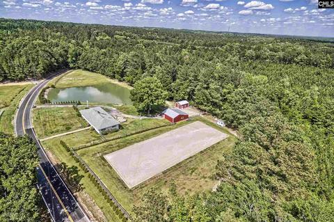 1215 Dan Comalander Rd, Chapin, SC 29036 photo 1