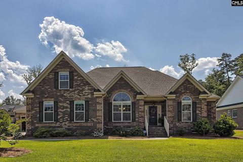 128 Renard Way, Gilbert, SC 29054 photo 1