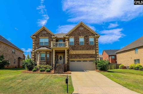 237 Massey Cir, Chapin, SC 29036 photo 1
