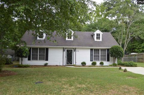 124 Oak Hampton, Irmo, SC 29063 photo 1
