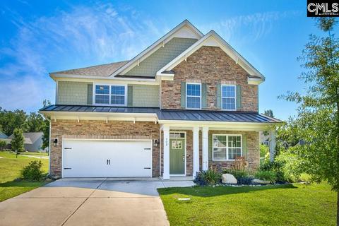 302 Explorer Dr, Chapin, SC 29036 photo 1