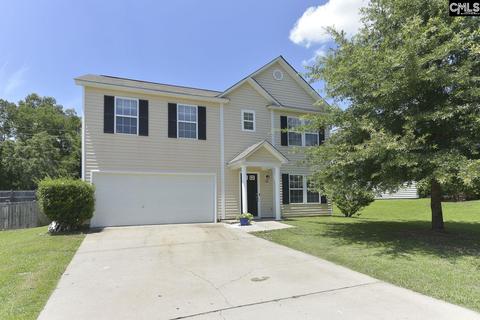 360 Eagle Pointe Dr, Chapin, SC 29036 photo 1