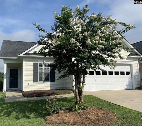 429 Woodhouse Loop, Irmo, SC 29063 photo 1
