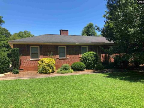214 E Boundary St, Chapin, SC 29036 photo 1