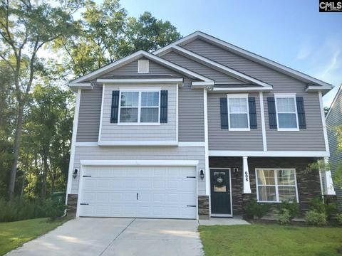 608 Spotted Eagle Ln, Chapin, SC 29036 photo 1
