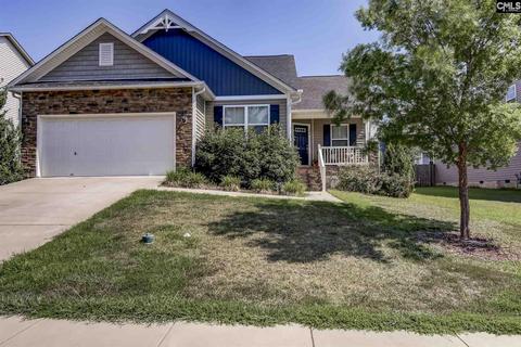 256 Glen Arbor Loop, Irmo, SC 29063 photo 1