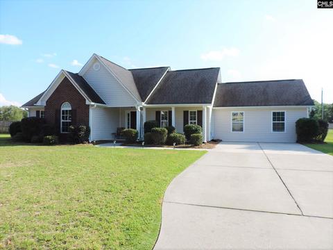 126 St Pauls Place Dr, Gilbert, SC 29054 photo 1