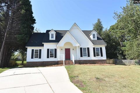 212 Puller Ct, Lexington, SC 29072 photo 1