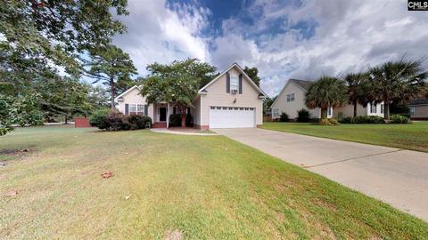 162 Falling Leaf Ln, Elgin, SC 29045 photo 1