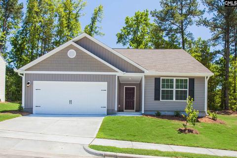 251 Common Reed Dr, Gilbert, SC 29054 photo 1
